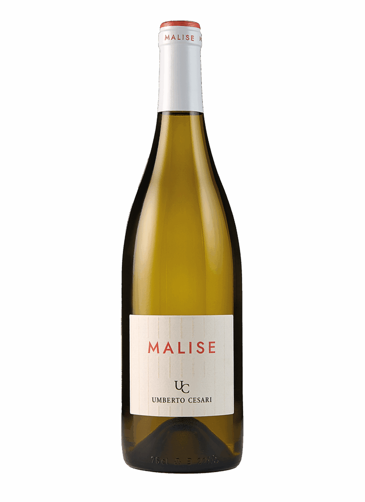 malise trebbiano